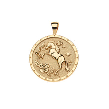Load image into Gallery viewer, Jane Win COURAGE Year Of the Horse Pendant Coin - 18" Drawn Link Chain