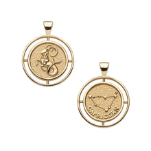 Load image into Gallery viewer, Jane Win CAPRICORN Zodiac Pendant Coin
