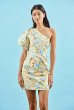 Load image into Gallery viewer, Hunter Bell Chloe Dress
